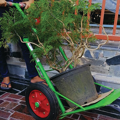 Branch Saw Blade Attachment