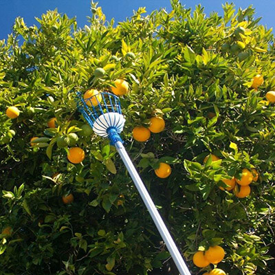 Hook and Hanger Tool